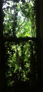 leaf window